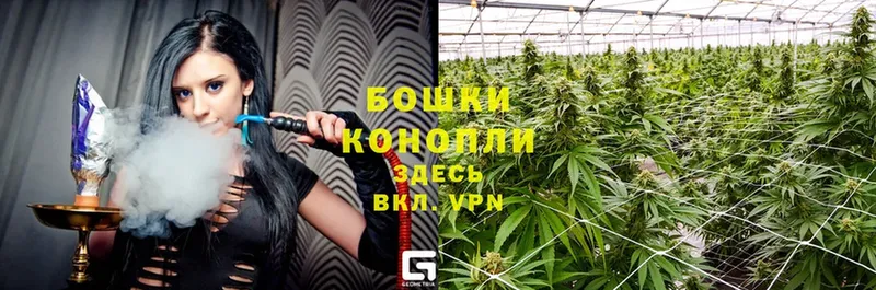 Каннабис THC 21%  ссылка на мегу онион  Иркутск  купить закладку 